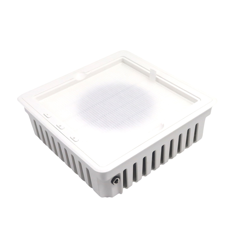 Кәсіби тырнақшасы шаң сығындысы